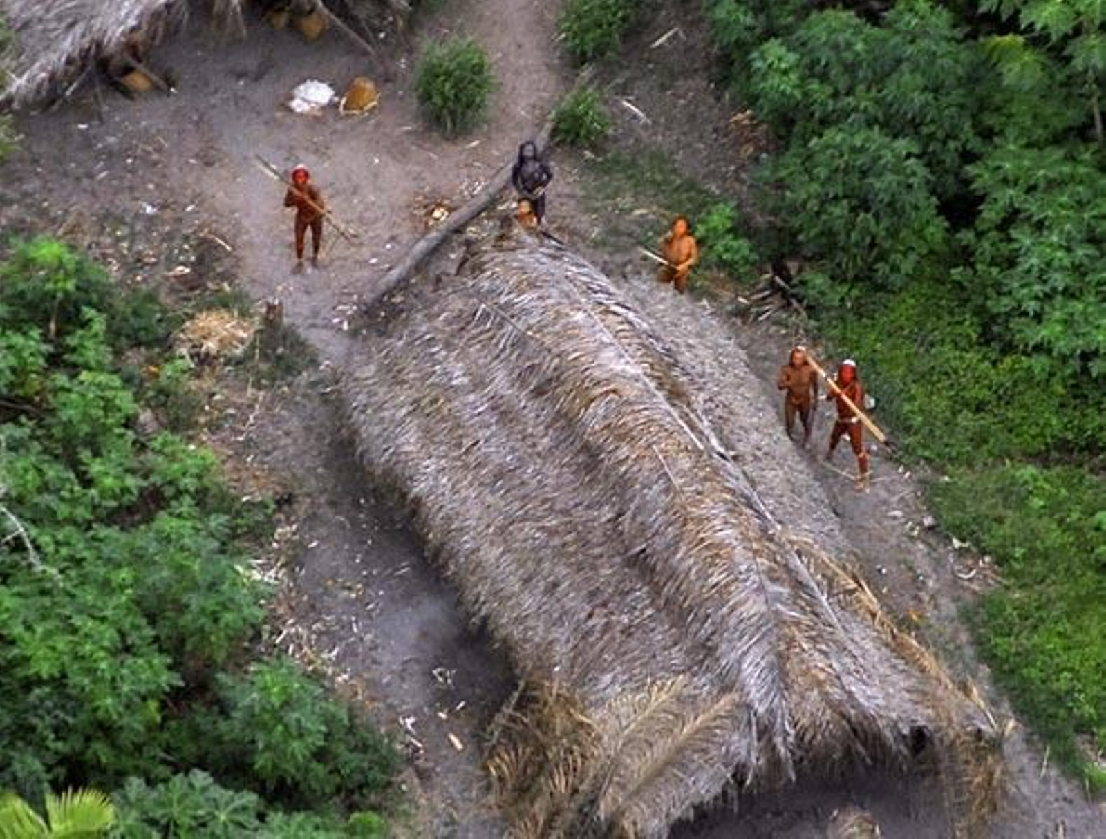 Descubiertas tribus aisladas del Amazonas que se encuentran en peligro