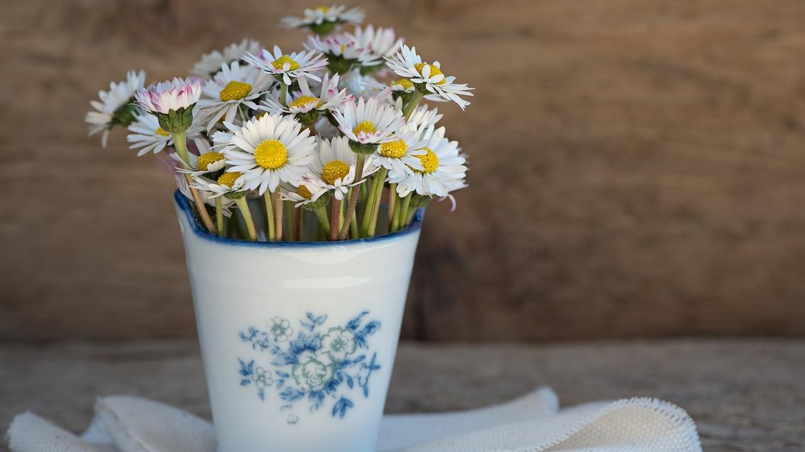 Margaritas colocadas en un jarrón