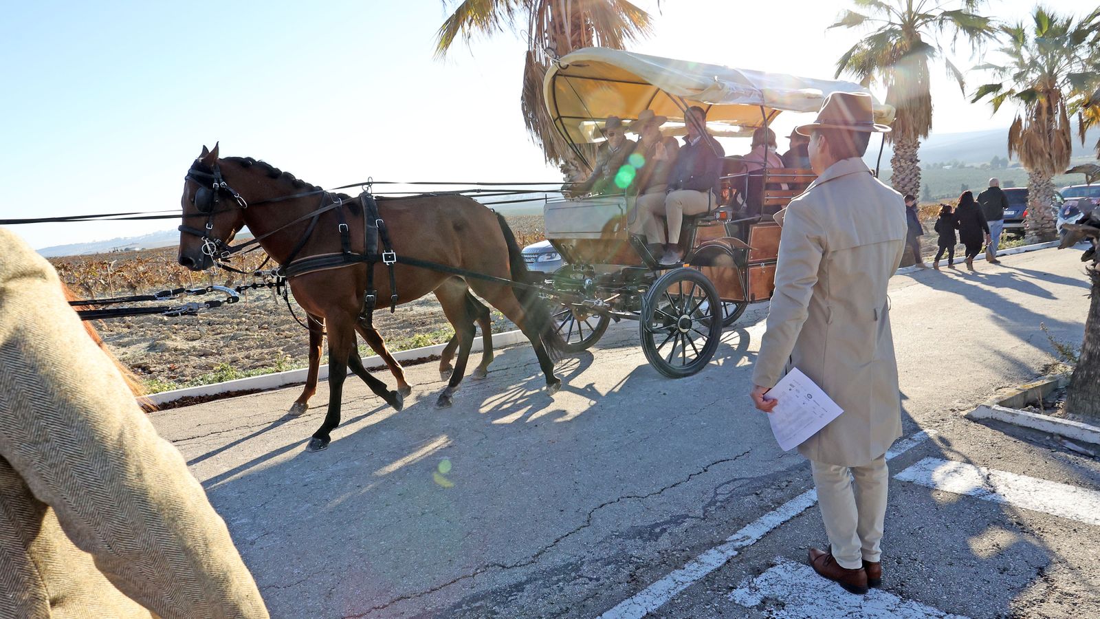 II Ruta Viñas de Jerez