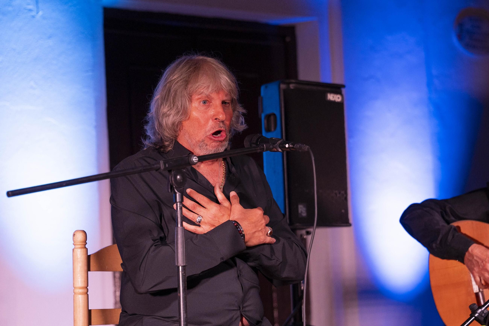 Las mejores imágenes del Festival de Flamenco en Fondón