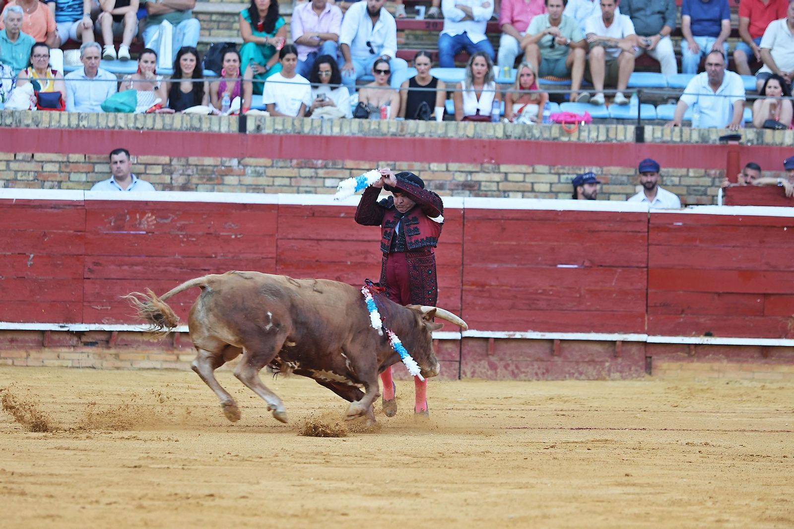 Toros La Merced 2024 Novillada con picadores(