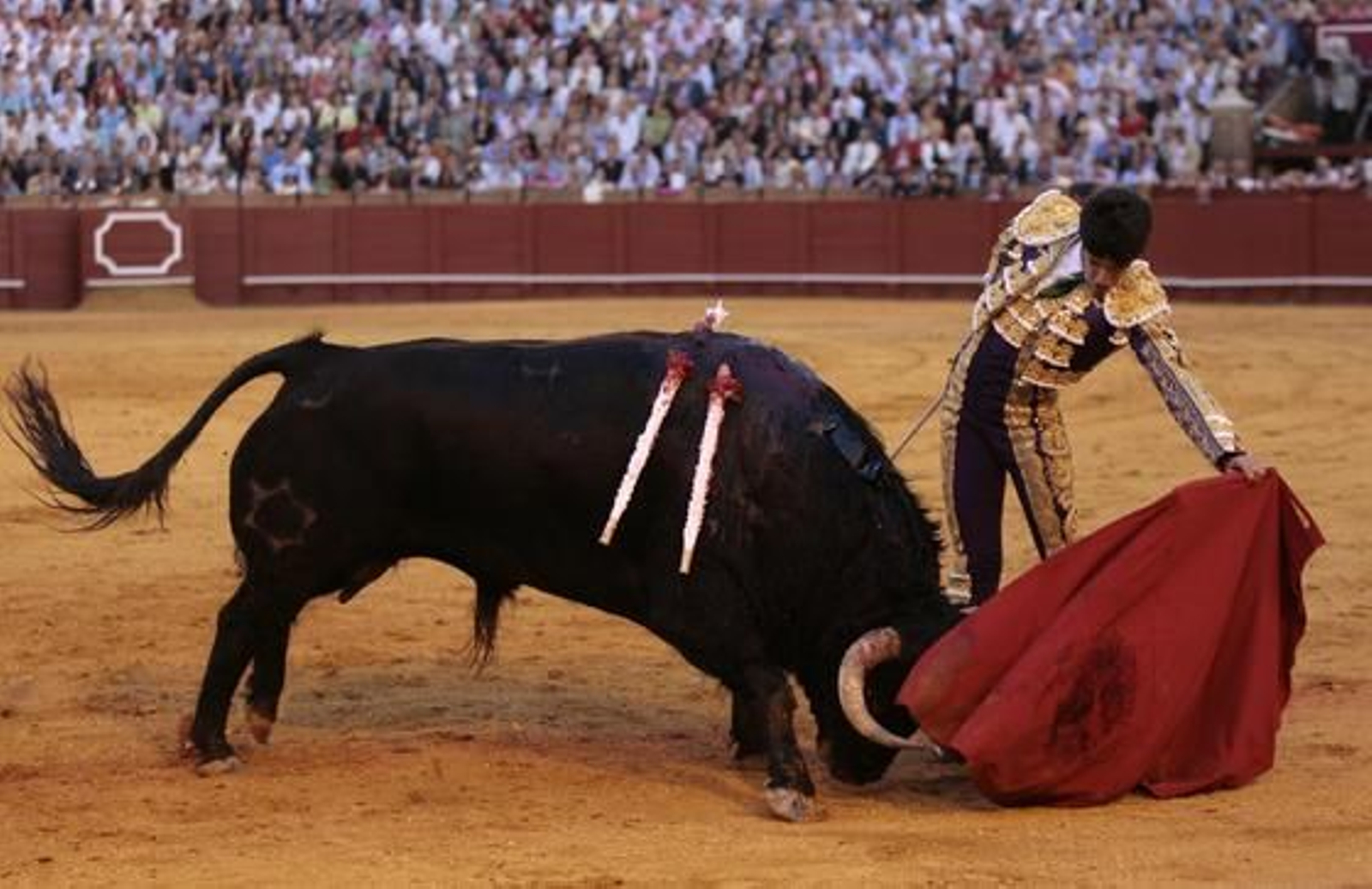 Talavante cierra la decimotercera tarde en la Maestranza.

Foto: Juan Carlos Muñoz