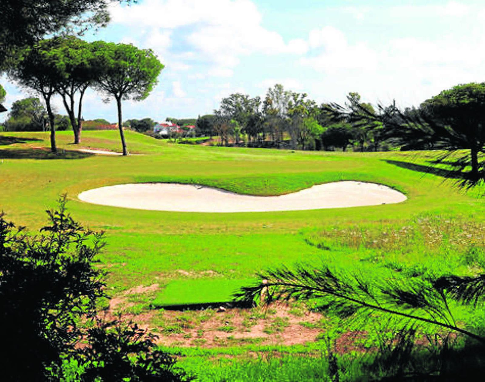 El club cuenta con unas modernas instalaciones y unos greenes de primer nivel para la práctica del golf.