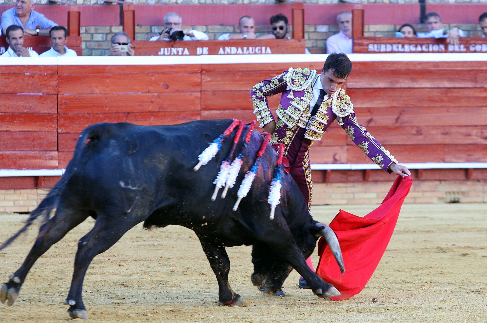 Imágenes de la Novillada de Rafael Serna, Emilio Silvera y Rodrigo Molina.
