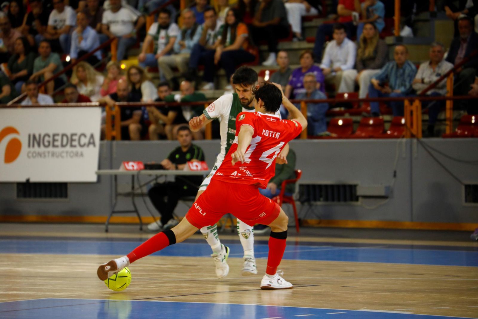 Las mejores fotos del ambiente en Vista Alegre para el Córdoba Futsal - Jimbee Cartagena