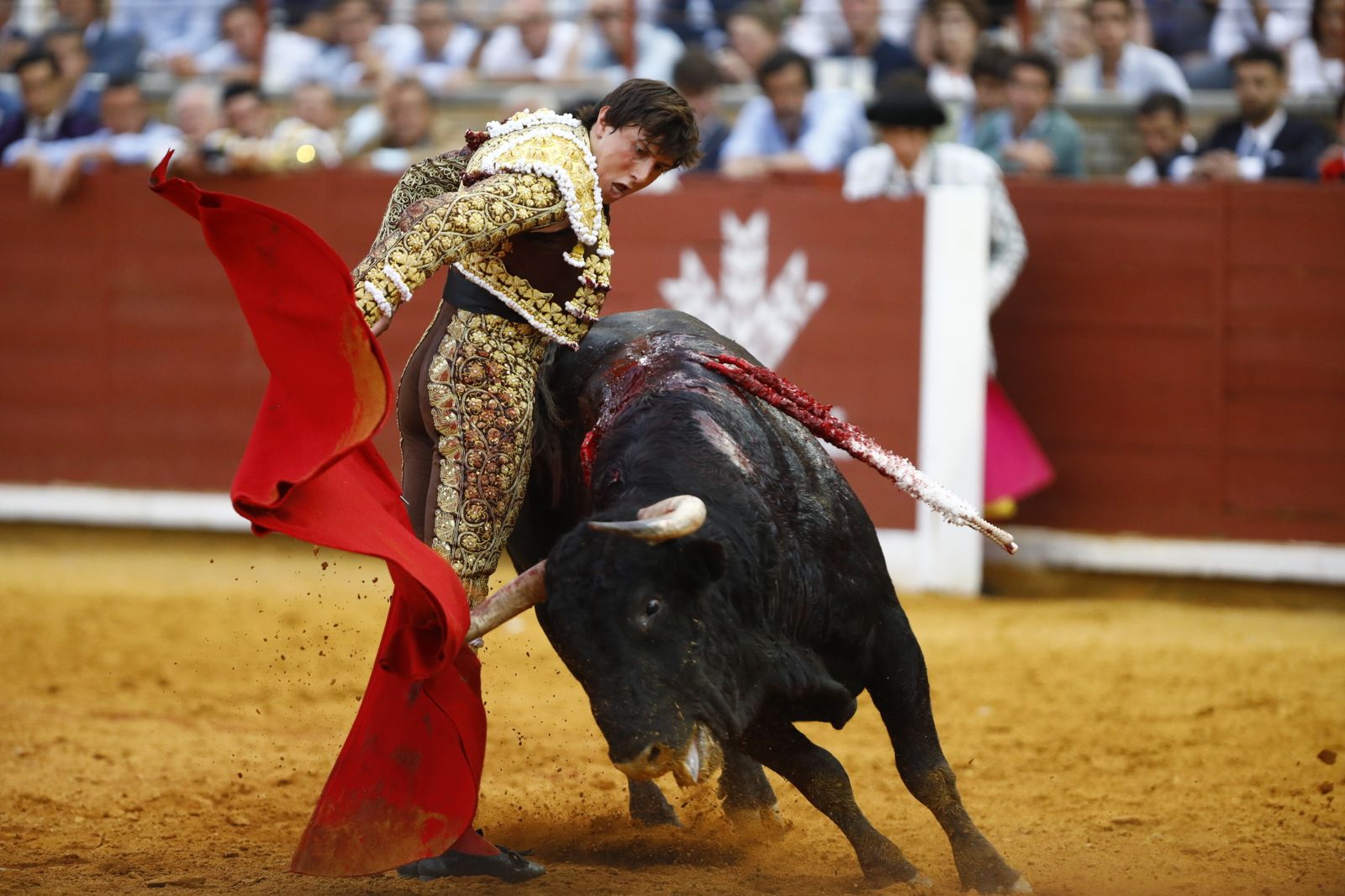 La corrida de Talavante, Roca Rey y Lagartijo, en Córdoba, en imágenes