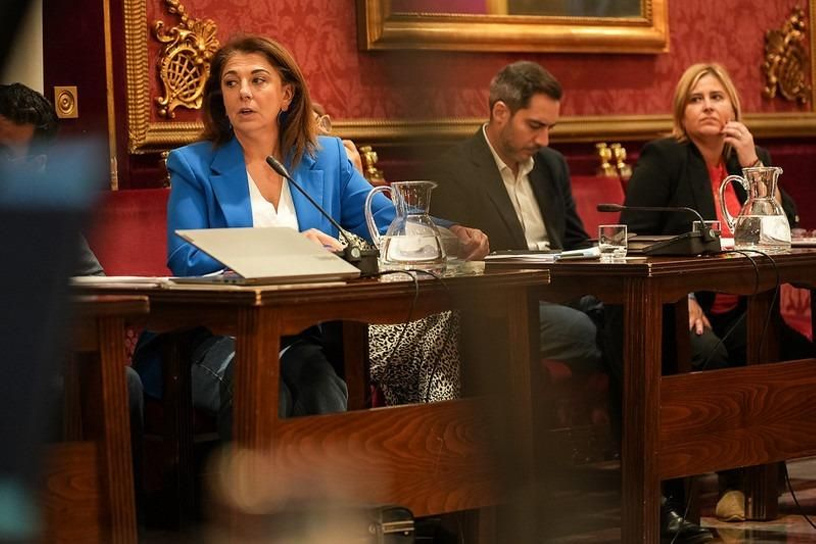 Imagen de la concejal del PSOE, Raquel Ruz, en el pleno de diciembre del Ayuntamiento de Granada