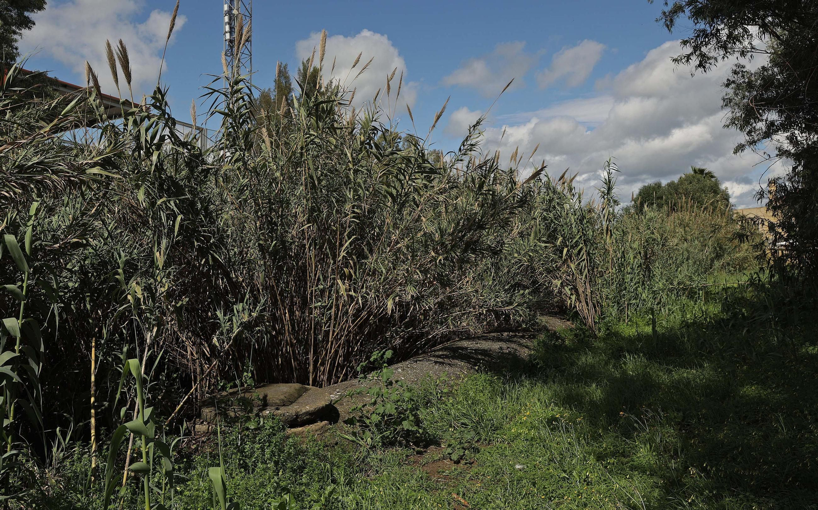 Fotos de los desperfectos e irregularidades en La Menacha