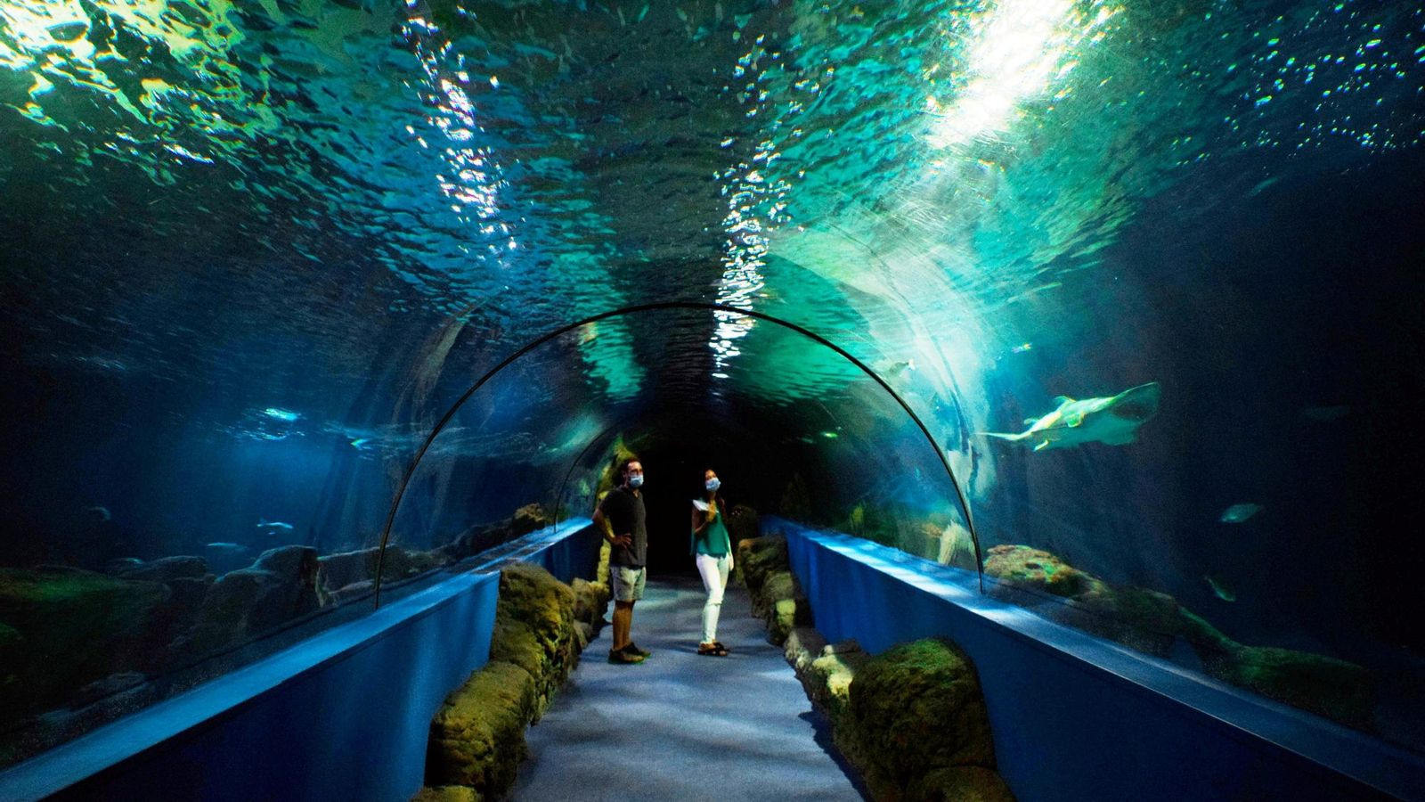 Interior del túnel del Acuario de Almuñécar | Imagen de archivo