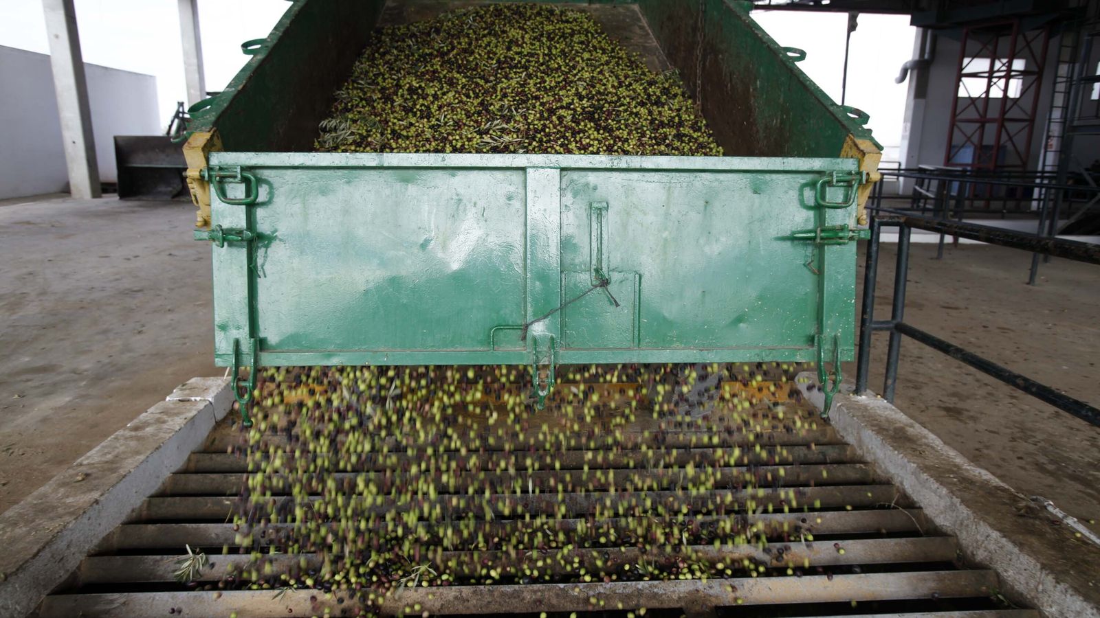 Descarga de aceitunas en Beas