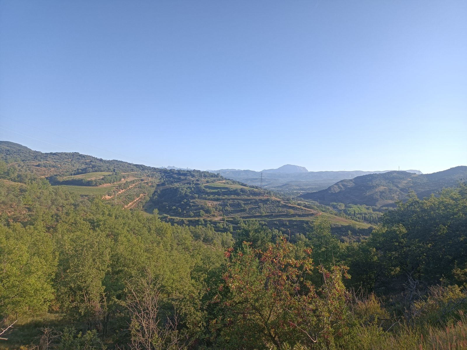 Vistas desde la Colada Torrelón.
