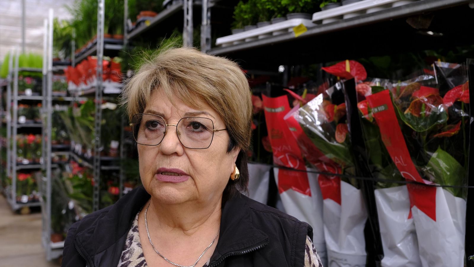 Antonia Ferrer, gerente de Solisplant.