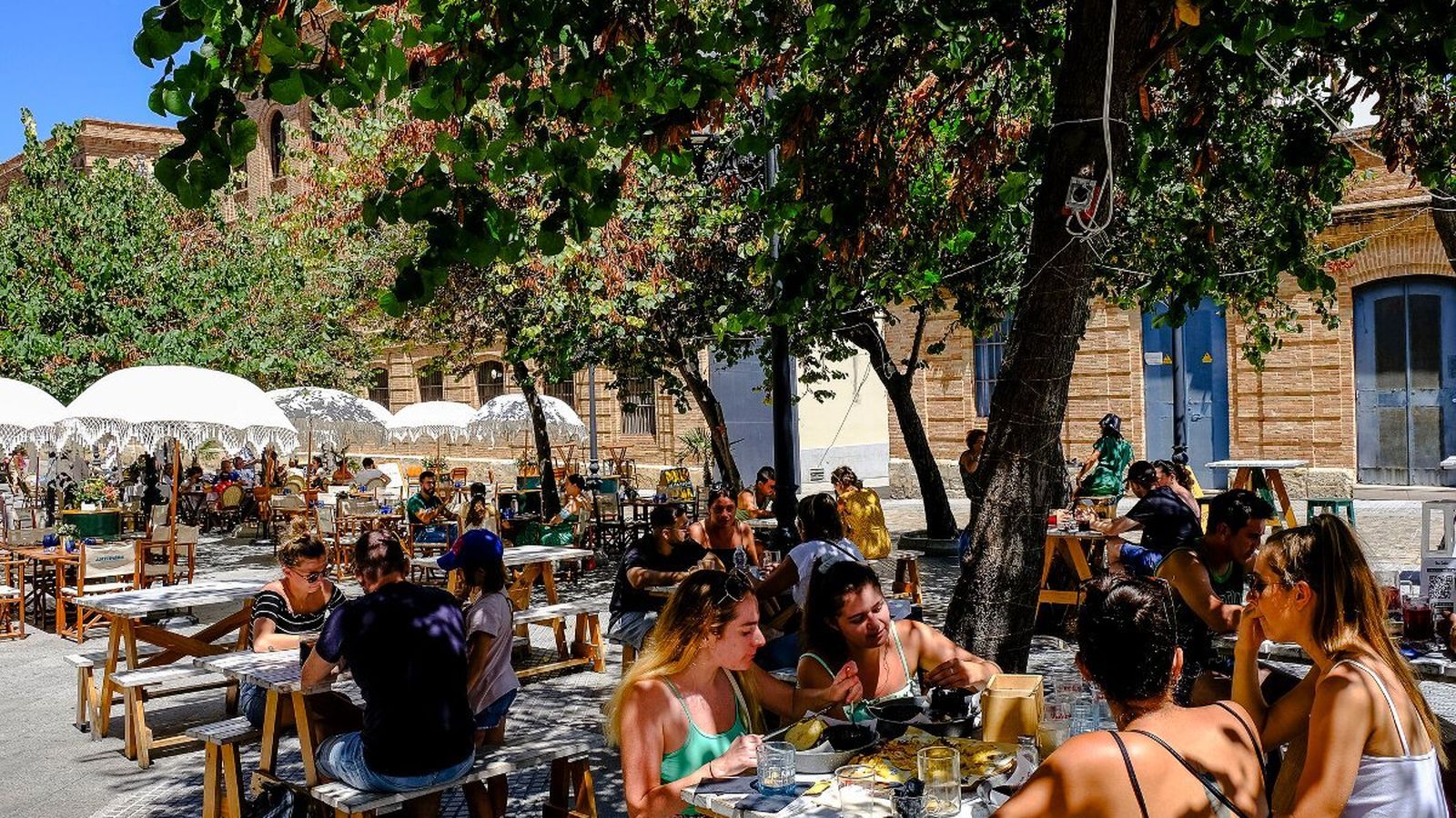 La calle Plocia, este mes de agosto.