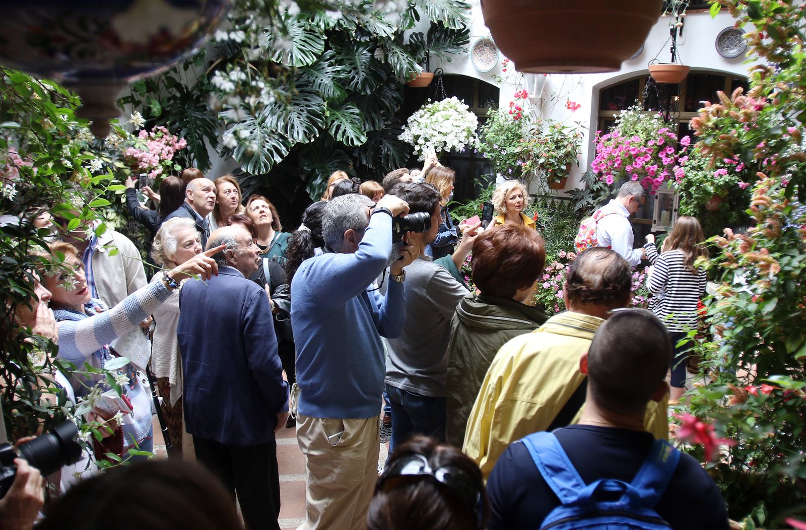 Ambiente en los patios ganadores de 2017