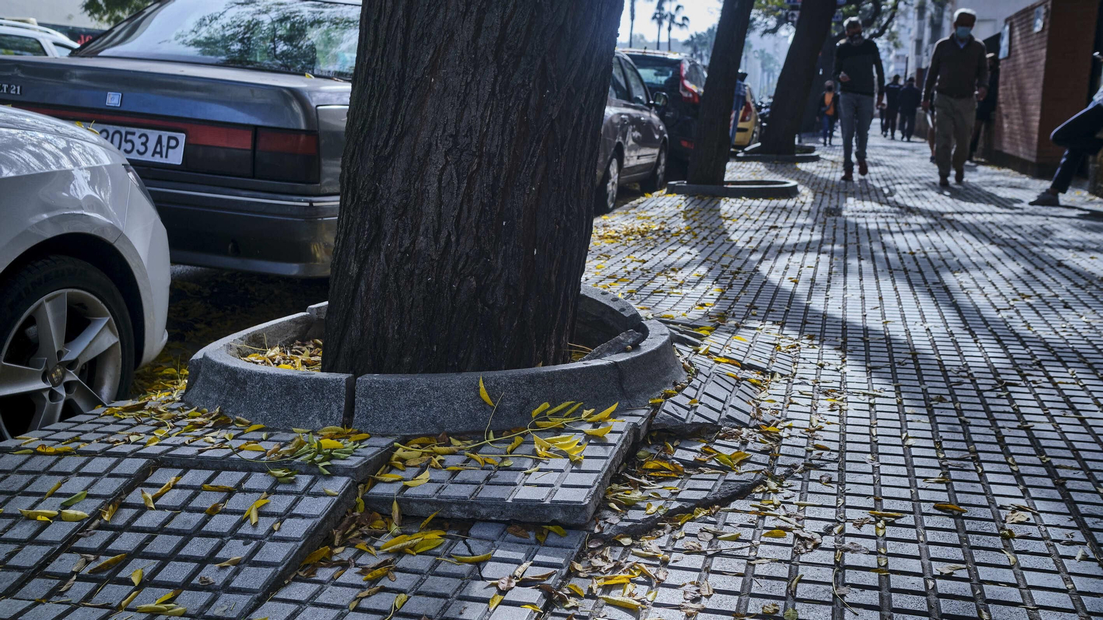 Losas y alcorque deteriorado en el acerado frente al colegio Las Esclavas.