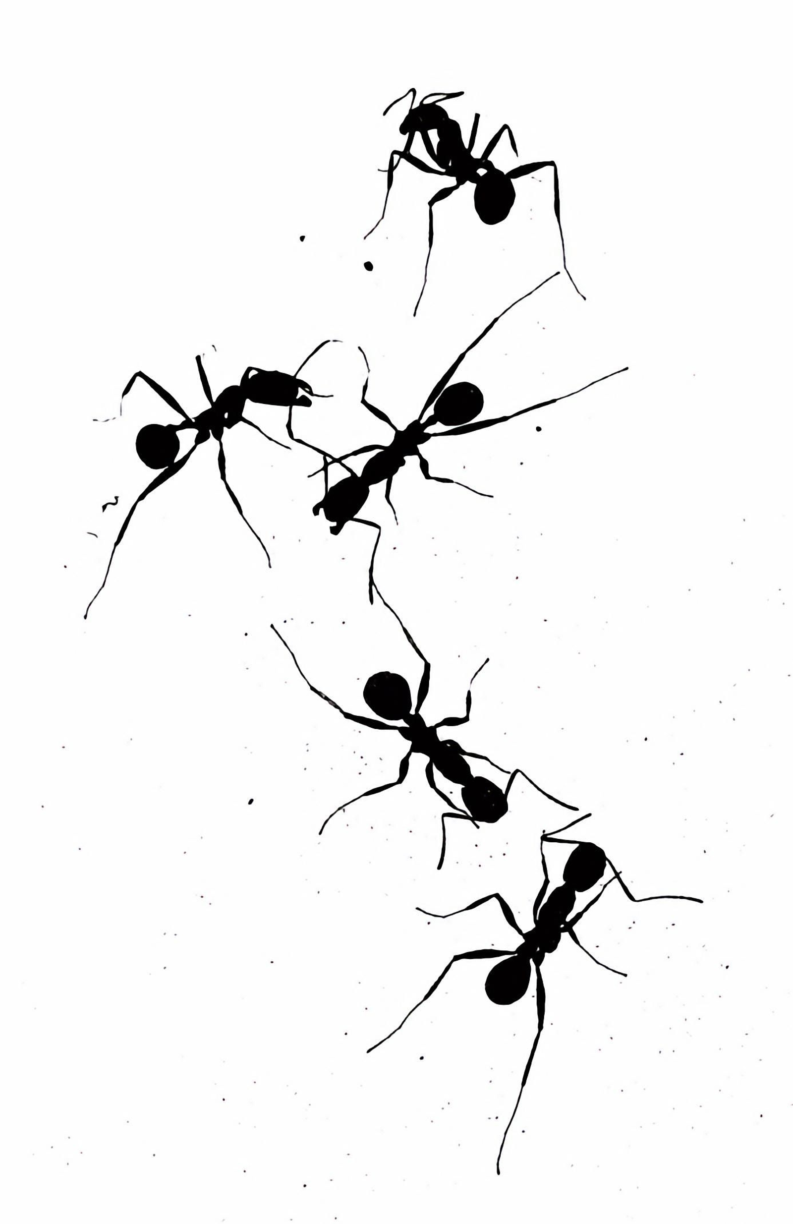 Aquel que navegue a contracorriente, que se mueva en círculos no concéntricos al orden establecido, ignorando lo presente, será llamado a abandonar el paraíso.