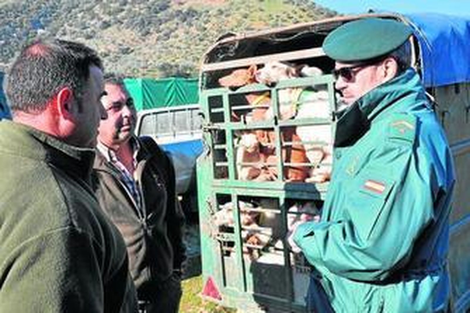 El Seprona controla una montería en un paraje de Sierra Morena.