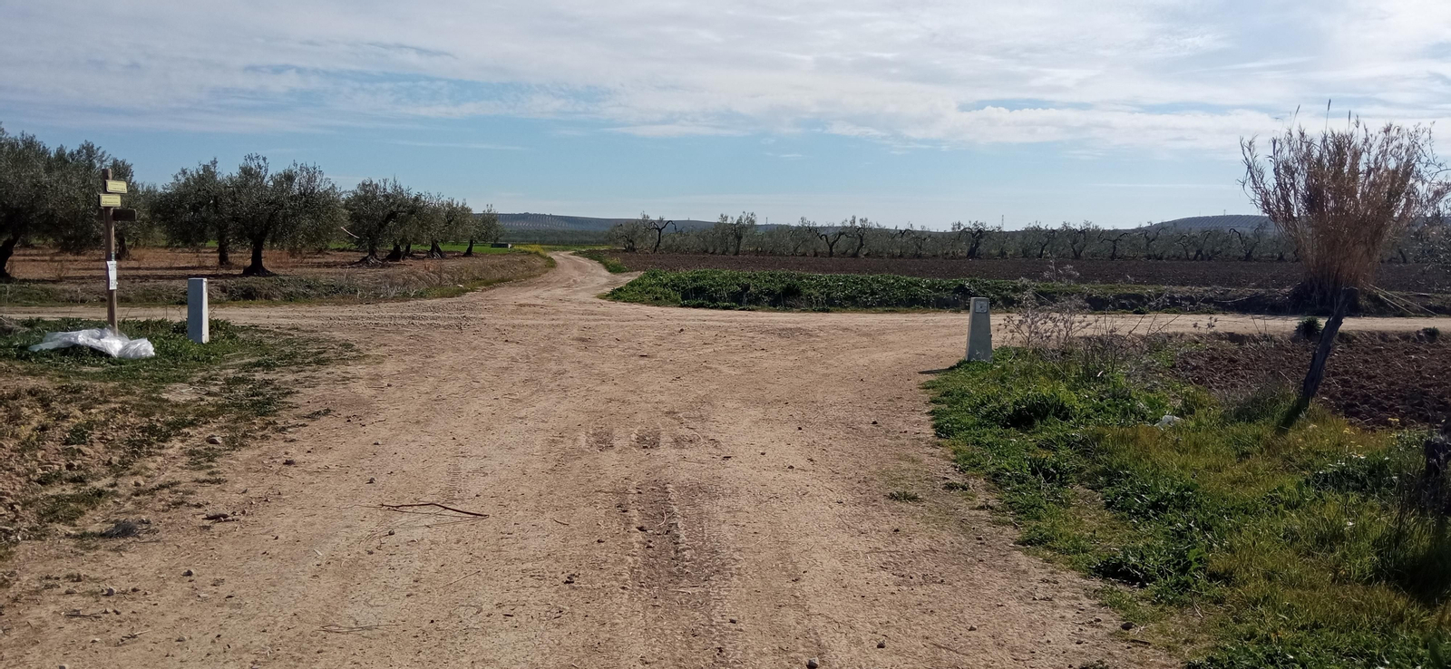 Las imágenes de la ruta de la dehesa de Albaida del Aljarafe