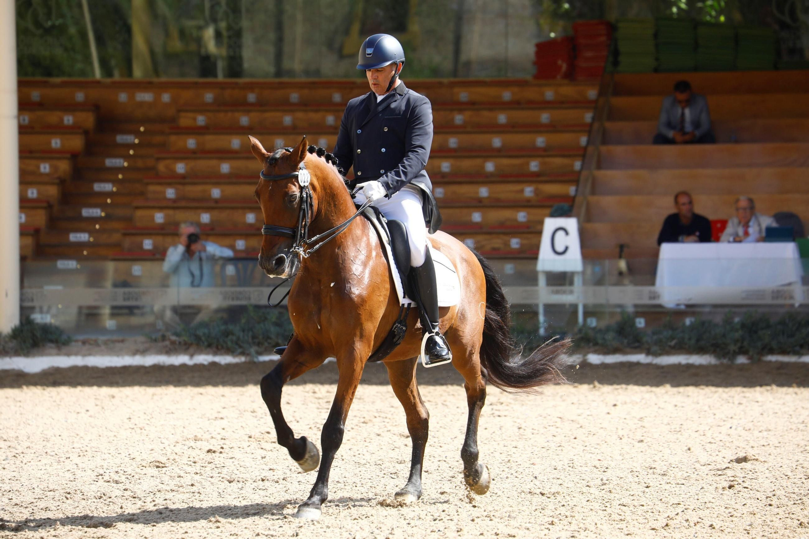 El concurso nacional de Doma Clásica en las Caballerizas Reales de Córdoba