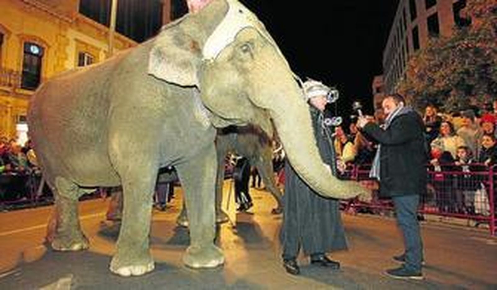 Uno de los elefantes alquilados para la Cabalgata de los Reyes Magos.