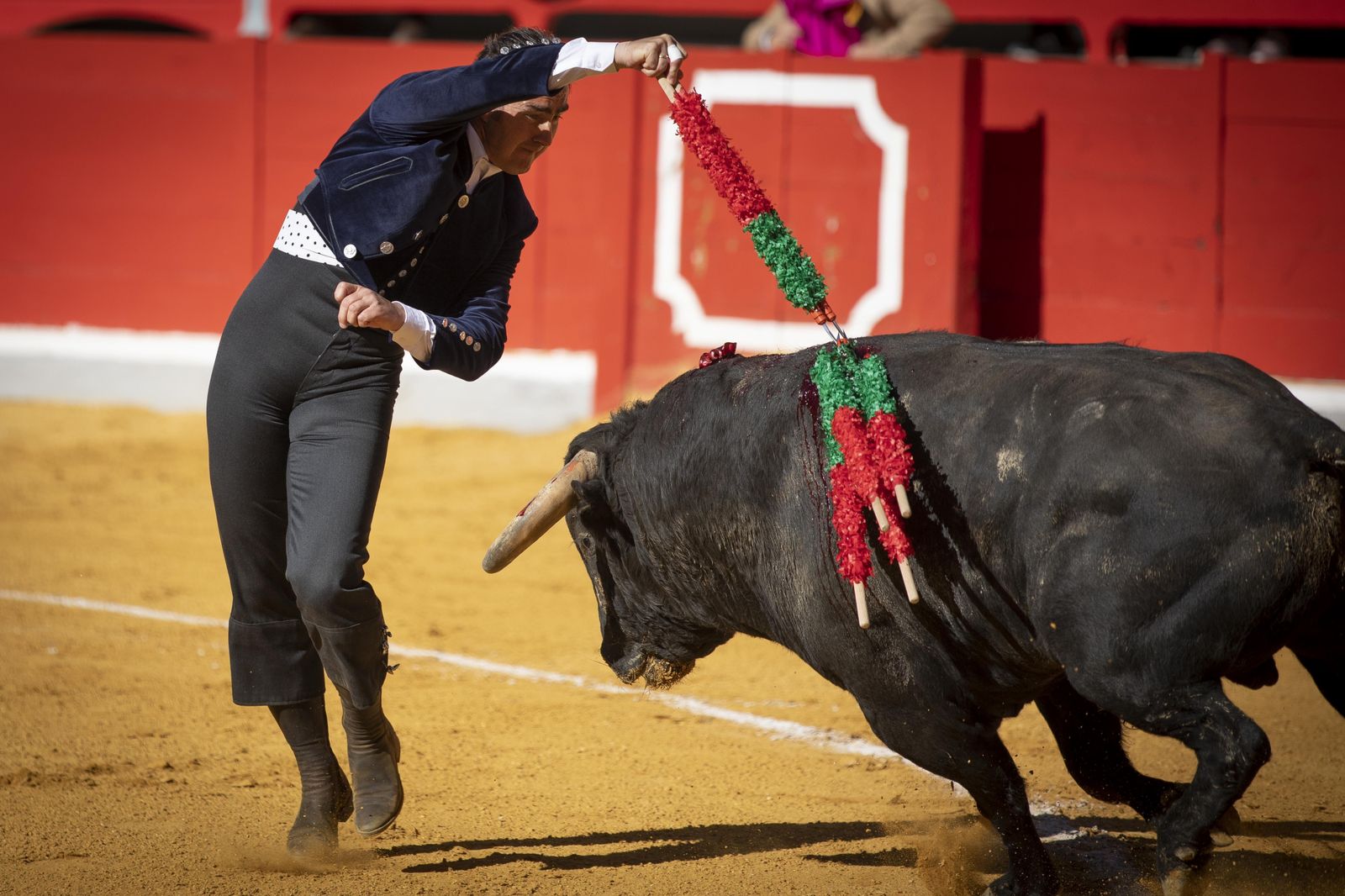 Las mejores imágenes del Festival Taurino en beneficio de Granadadown