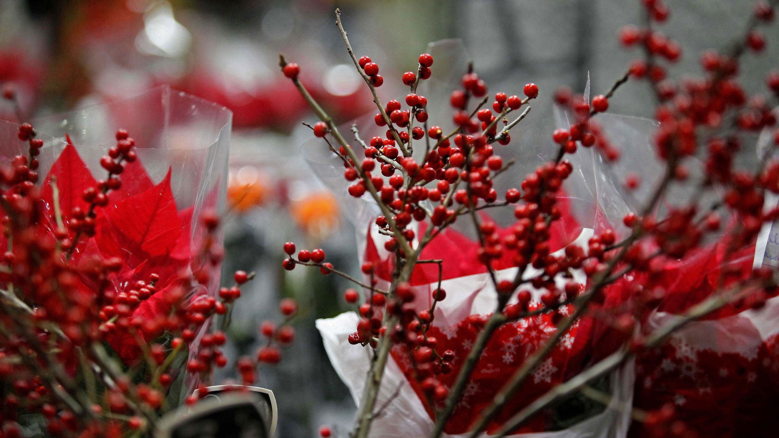 Mercado de la Concepción en La Línea
