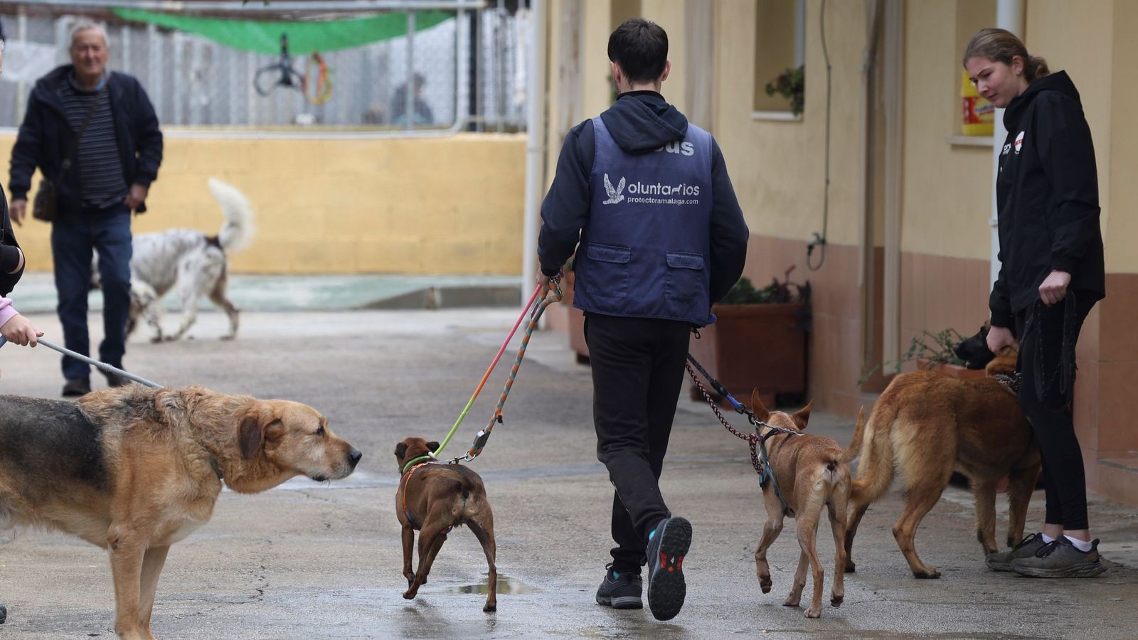 Coluntarios y trabajadores en la Protectora de Animales de Málaga