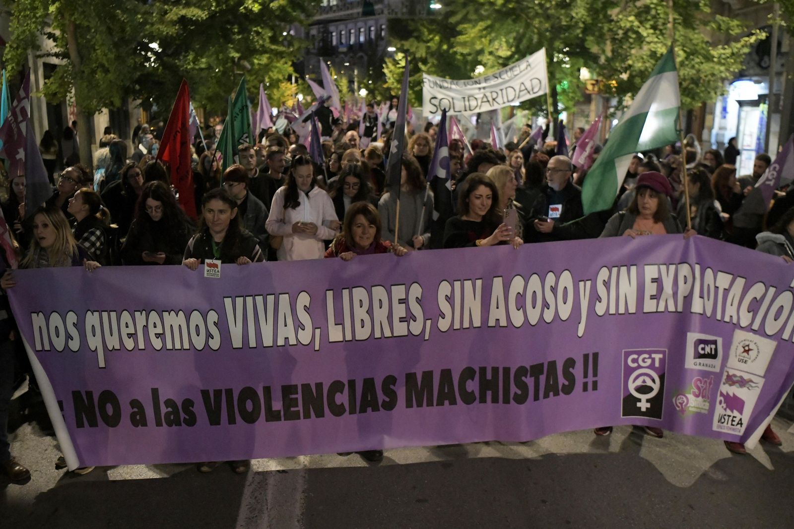 La manifestación del 25-N en Granada, en imágenes