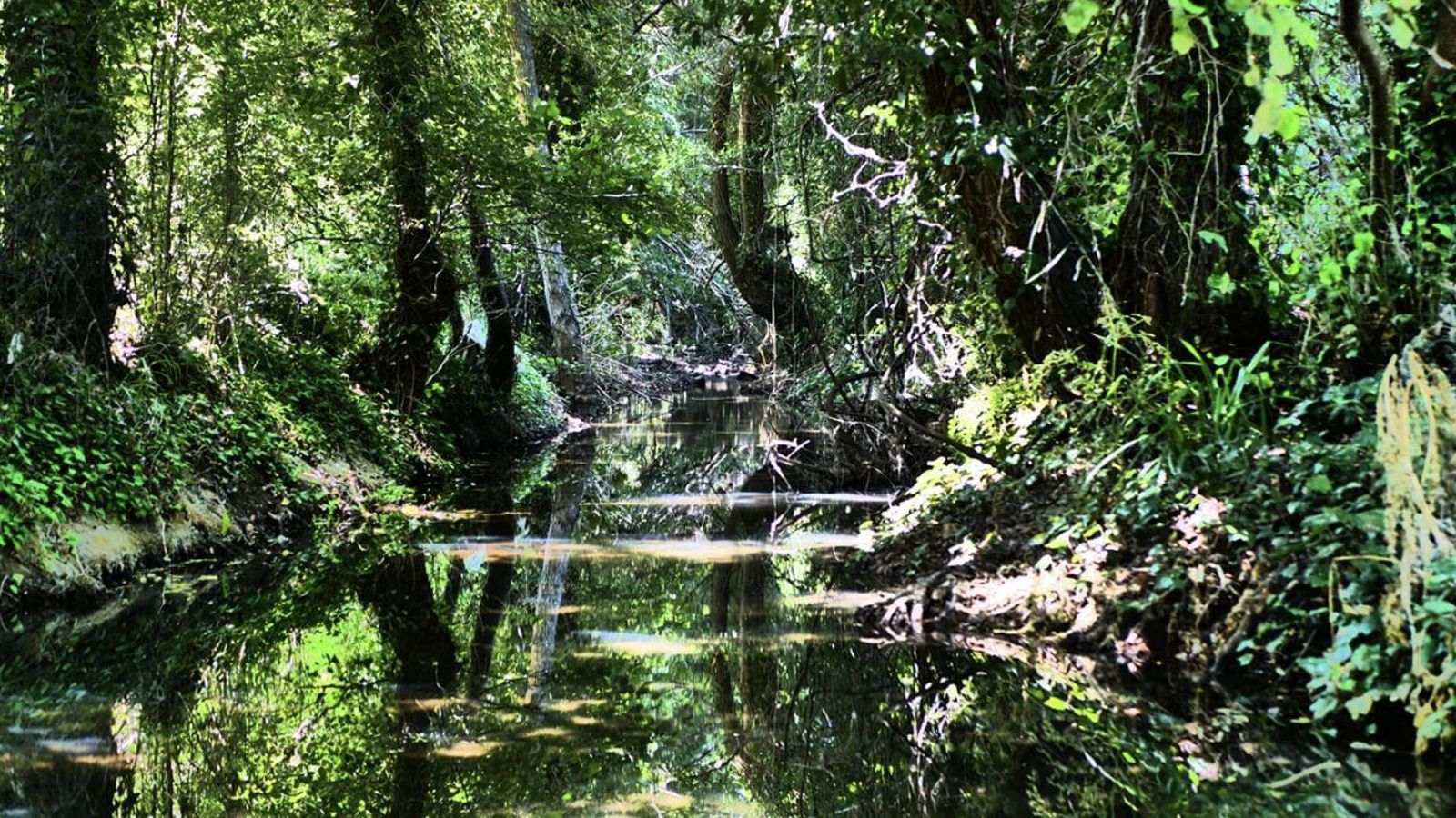 El río Múrtiga