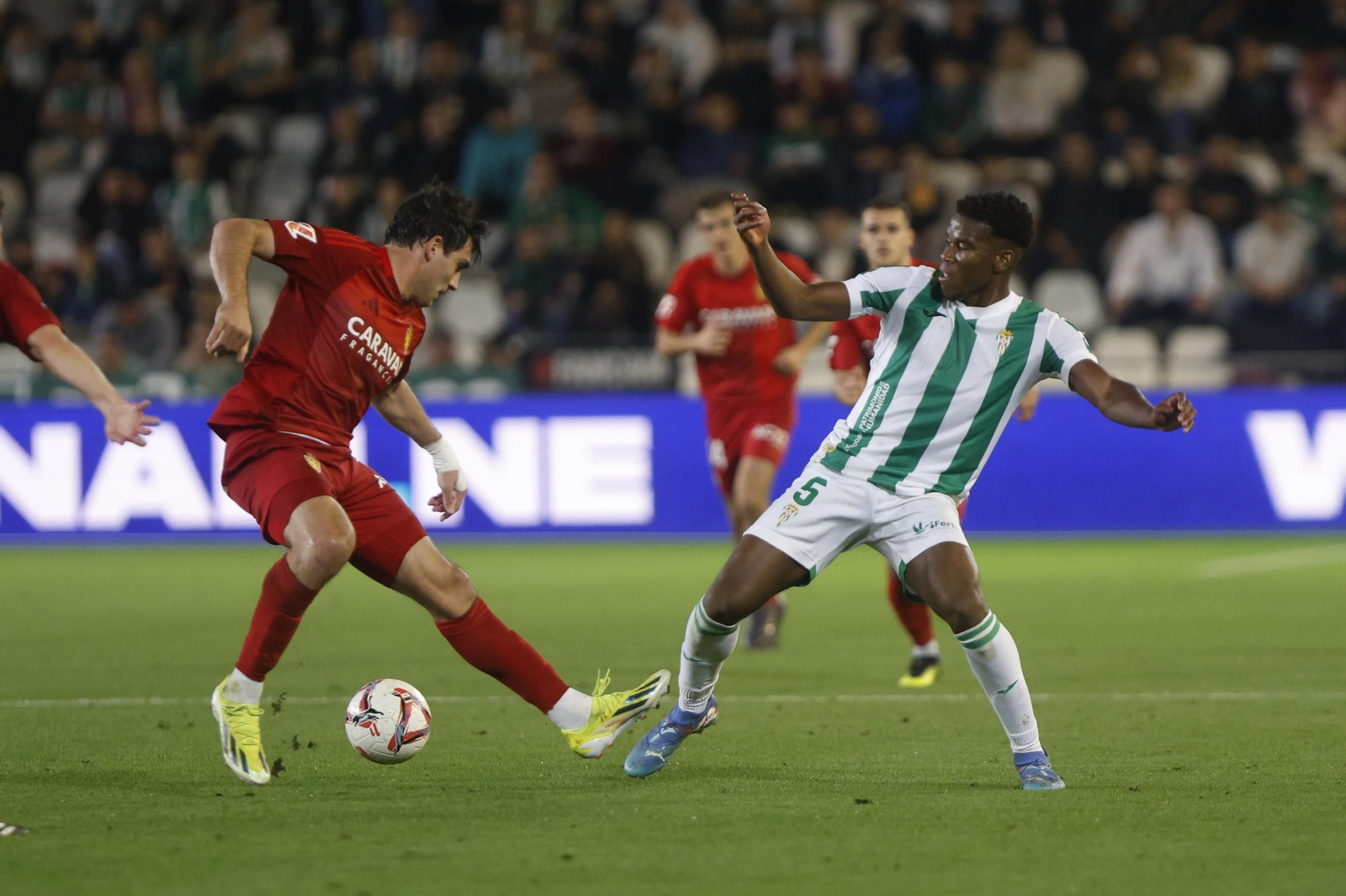 Las mejores fotos del ambiente en el Córdoba CF - Zaragoza en El Arcángel