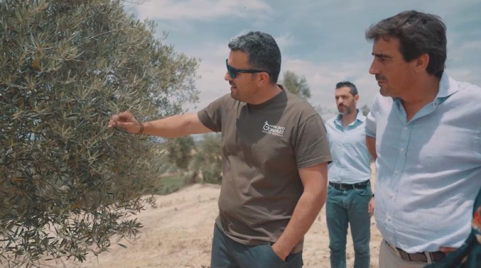 Un momento de la visita de Juan José Coca al olivar de Villa del Río.