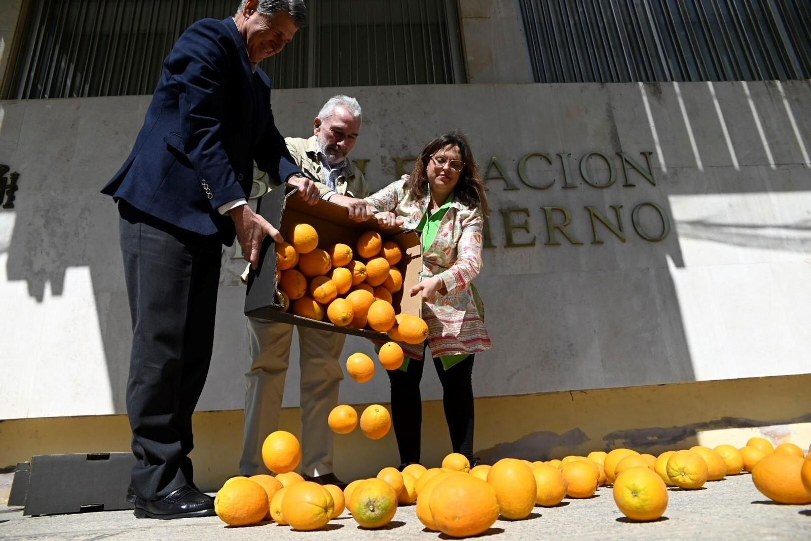 El reparto de naranjas en Córdoba en protesta por la situación del campo, en imágenes El reparto de naranjas en Córdoba en protesta por la situación del campo, en imágenes