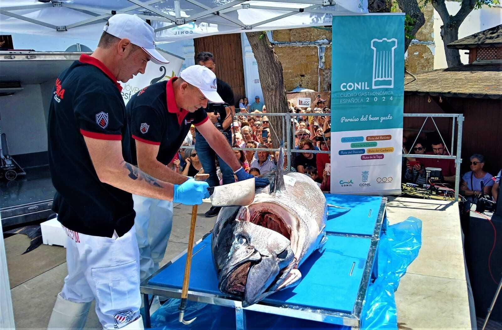 Semana del Atún de Conil