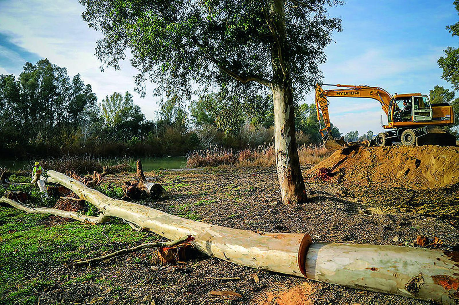 Labores de limpieza y desbroce acometidas por la Junta recientemente en una de las zonas rurales cercanas al río Guadalete.