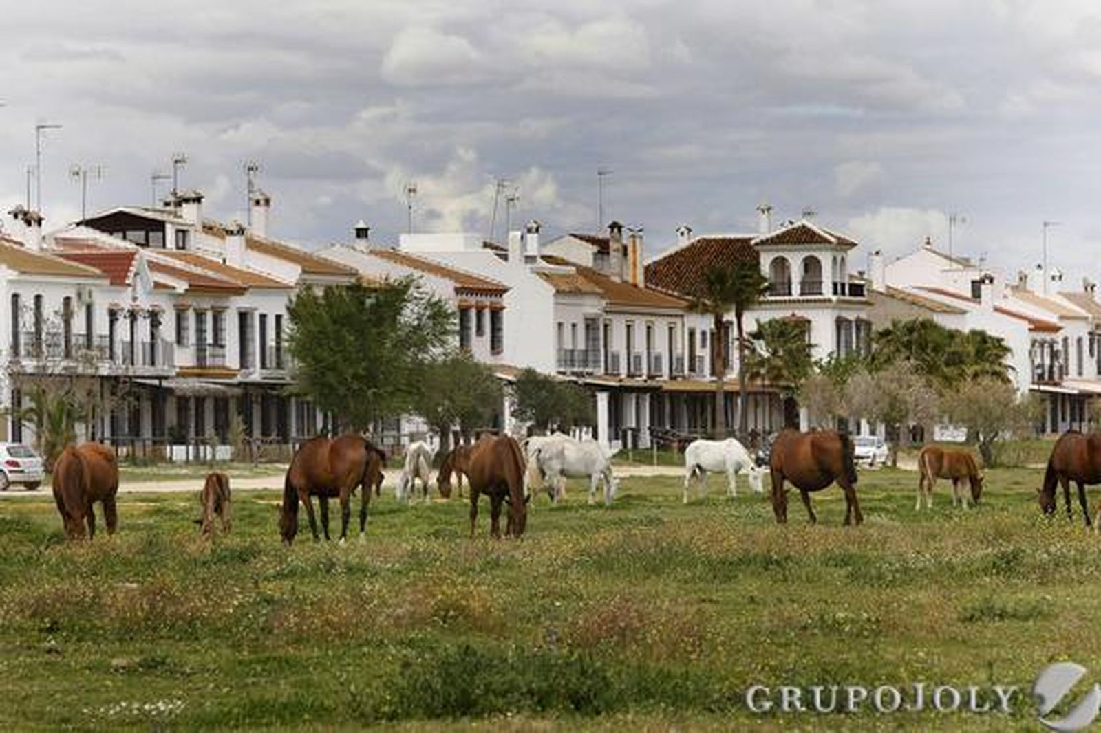 Sector ecuestre en Almonte