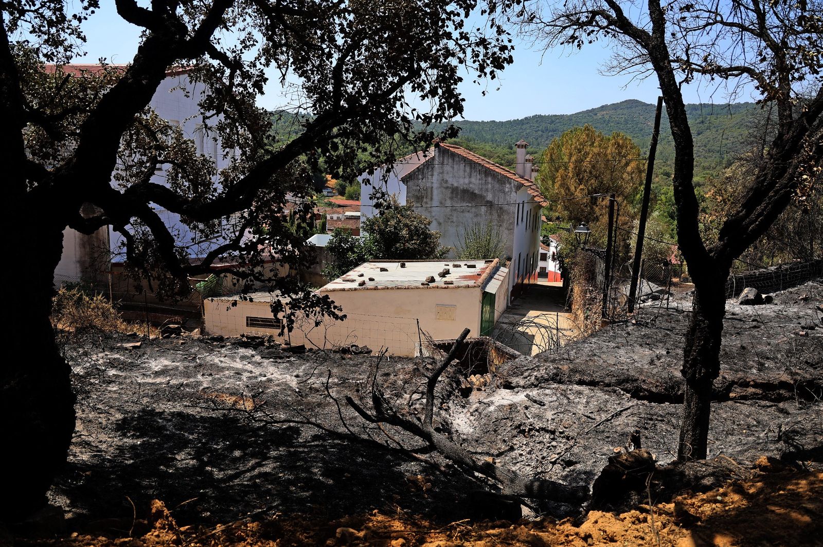 Secuelas del incendio en Los Romeros en el verano de 2025.