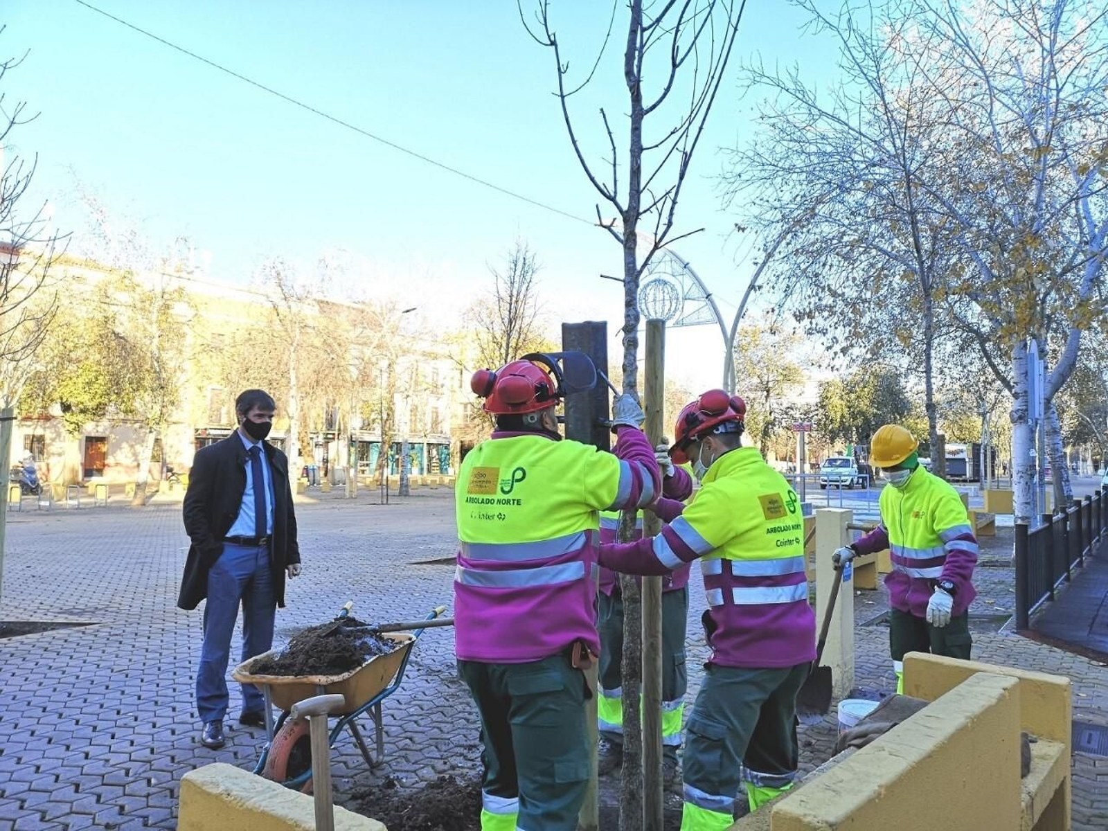 David Guevara supervisa la plantación de ejemplares en la Alameda.
