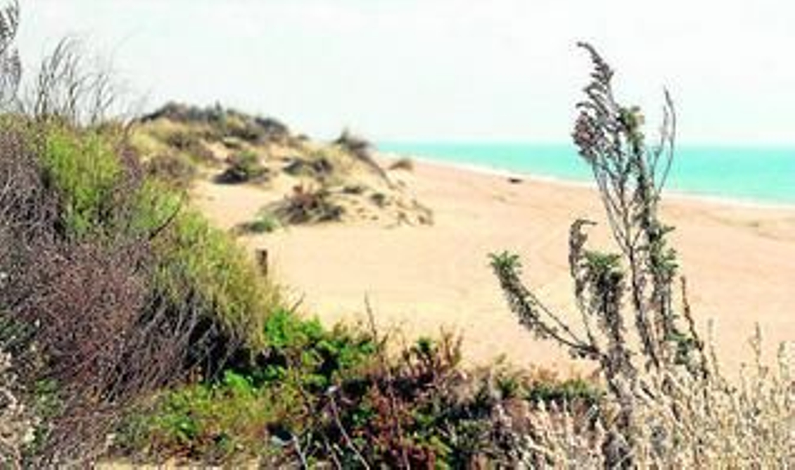Vista de una zona de dunas en Los Enebrales de Punta Umbría. Vista de una zona de dunas en Los Enebrales de Punta Umbría.