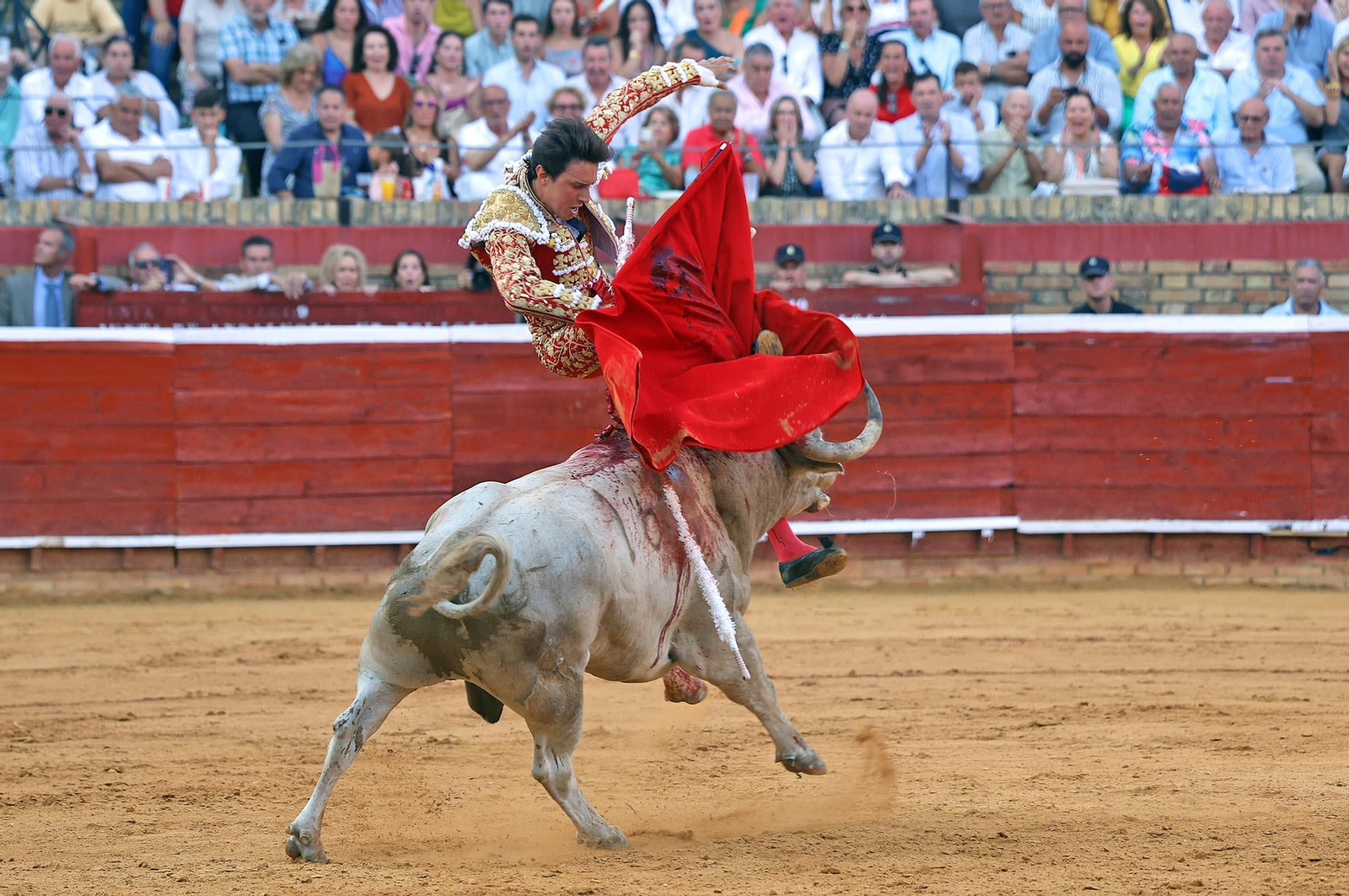 Toros La Merced: Imágenes de la corrida de David de Miranda, Roca Rey y Manzanare