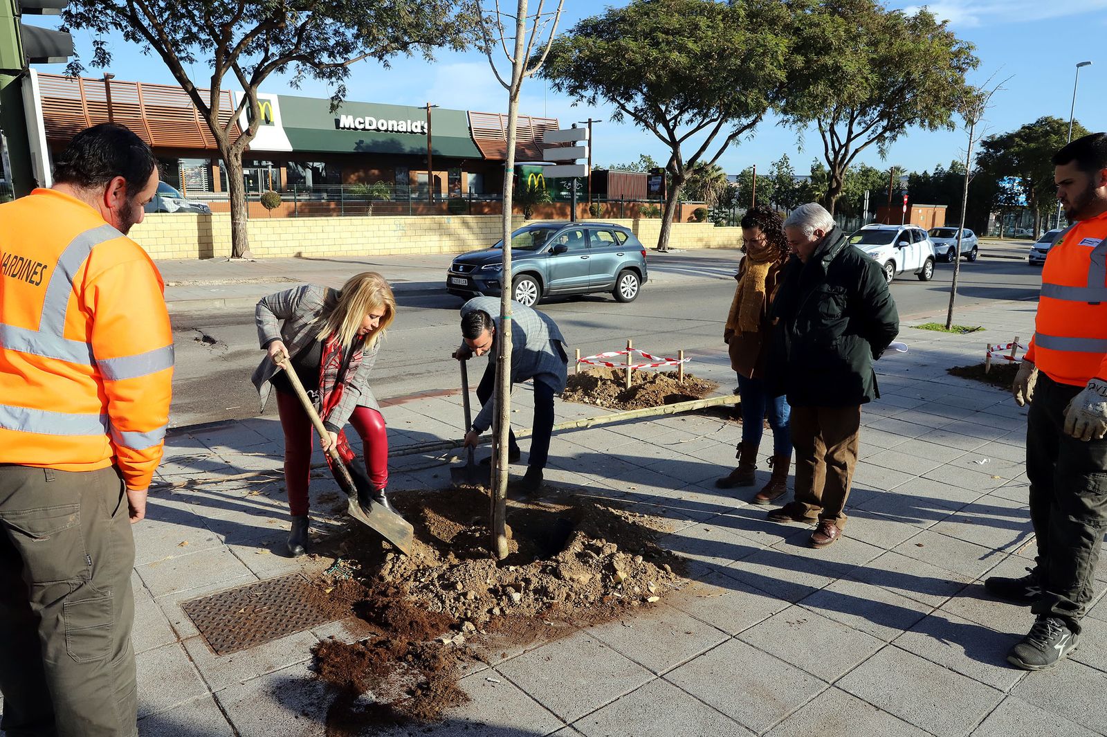 Mamen Sánchez y José Antonio Díaz plantando uno de los ejemplares en la avenida Europa