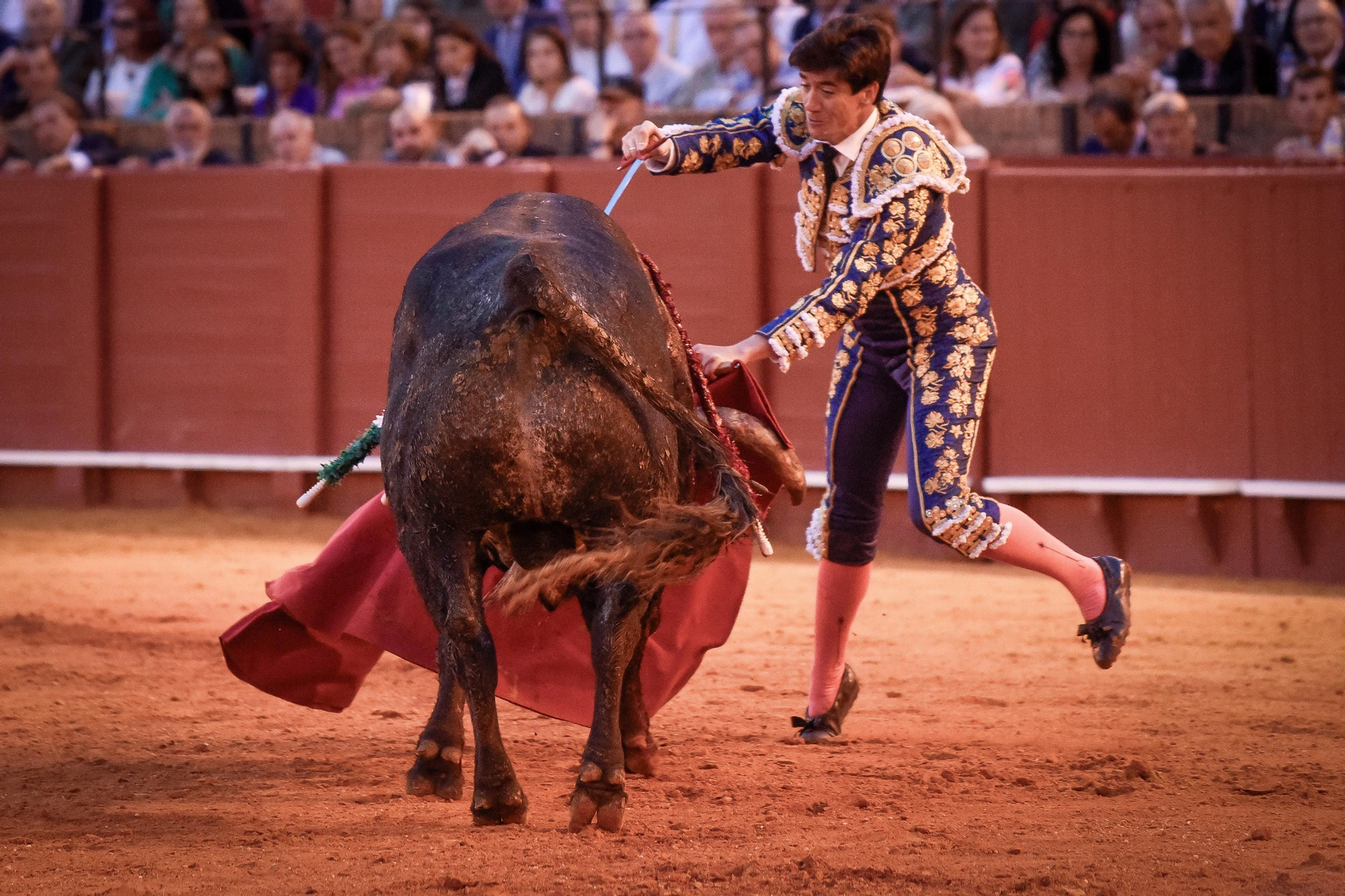 Las imágenes de la corrida de toros de El Fandi, Manuel Escribano y Esaú Fernández