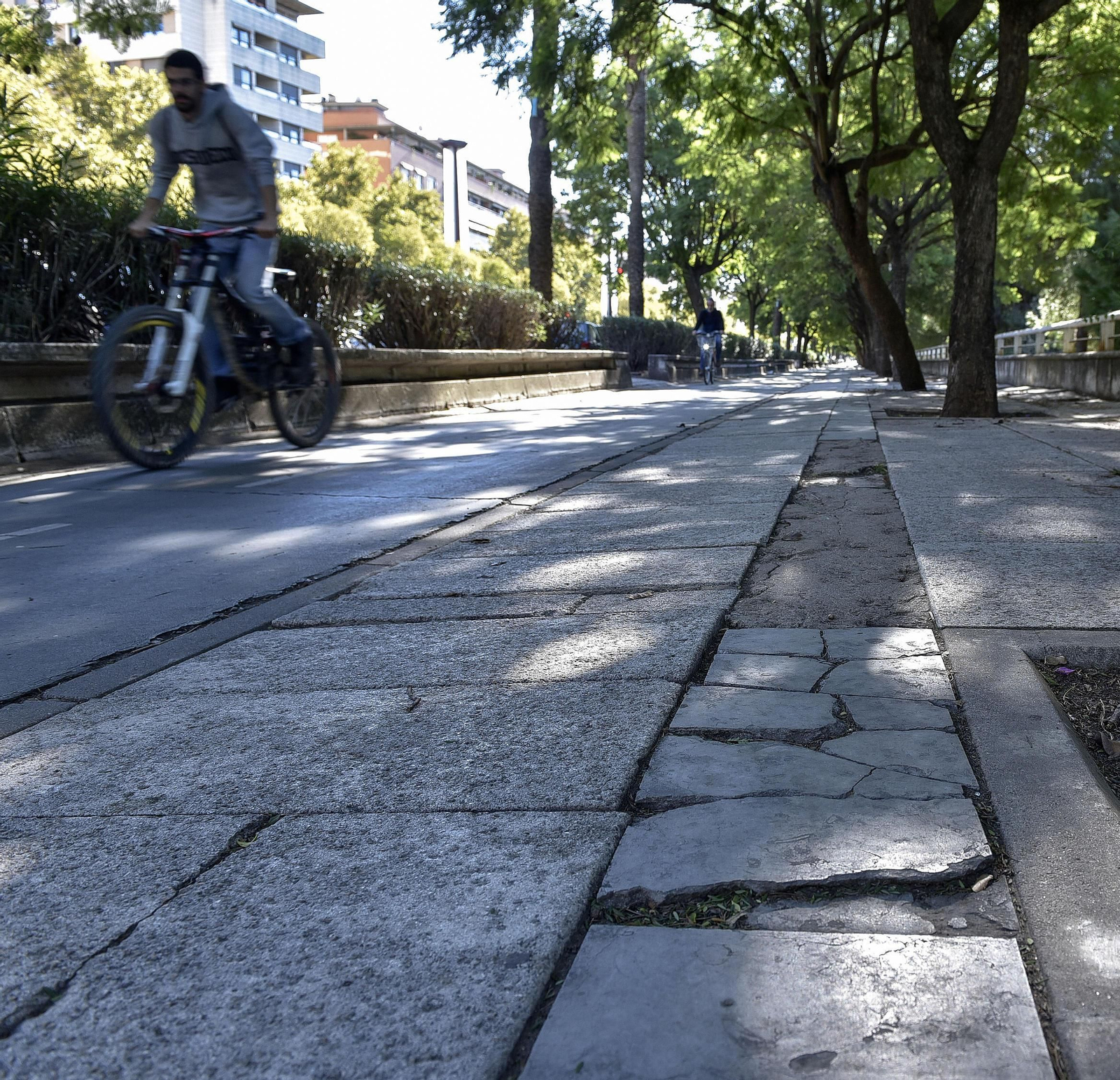 Desperfectos en el entorno del río