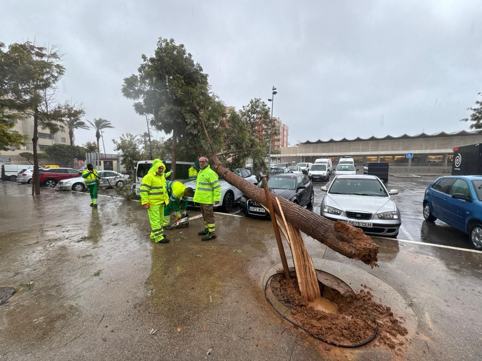 Las labores de los servicios de emergencia de Roquetas solventan los destrozos de la borrasca Kristin, en imágenes