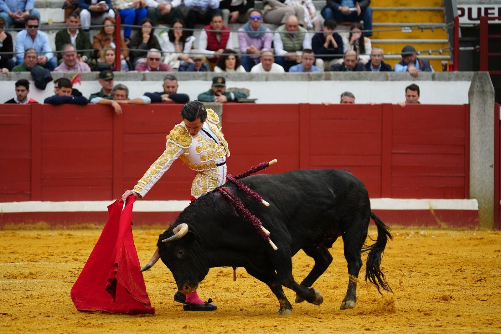 La corrida de primavera con Talavante, Pablo Aguado y Juan Ortega en Pozoblanco, en imágenes
