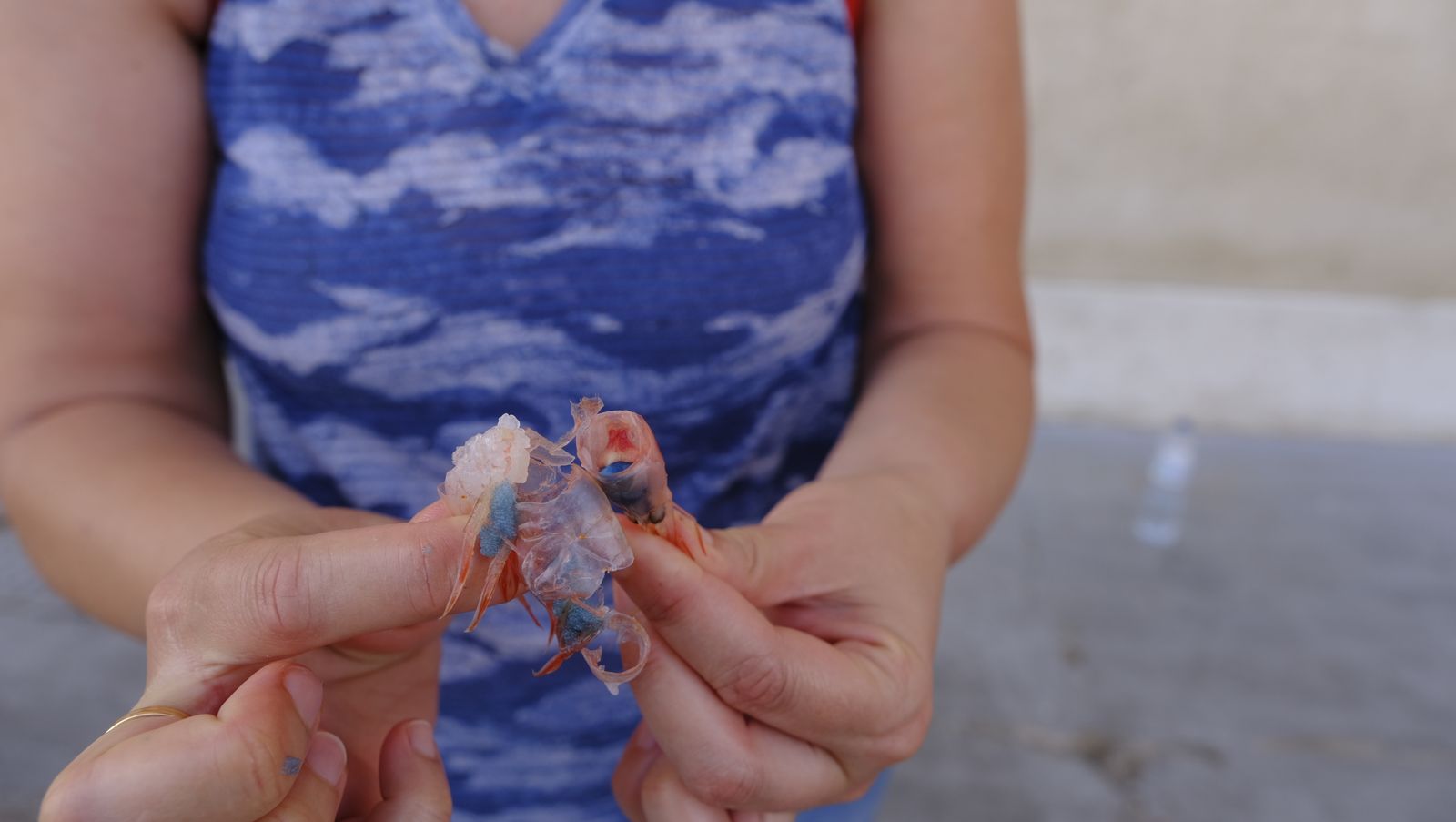 Imágenes de la visita guiada a la Lonja del Puerto Pesquero de Almería