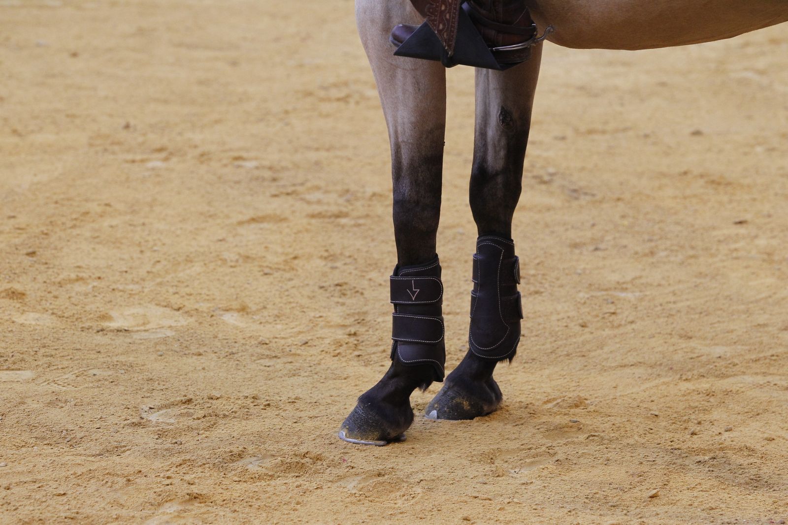 Fotogalería corrida de rejones. Feria de Almería 2019