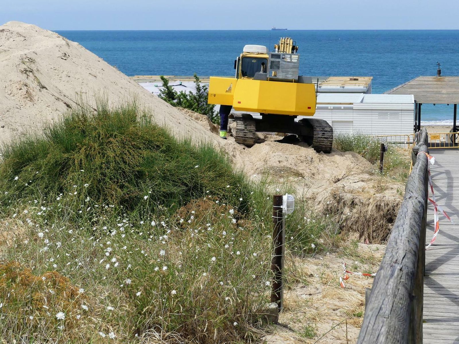 Una imagen de los trabajos difundida por La Base Natural y Cultural de Rota y Ecologistas en Acción.