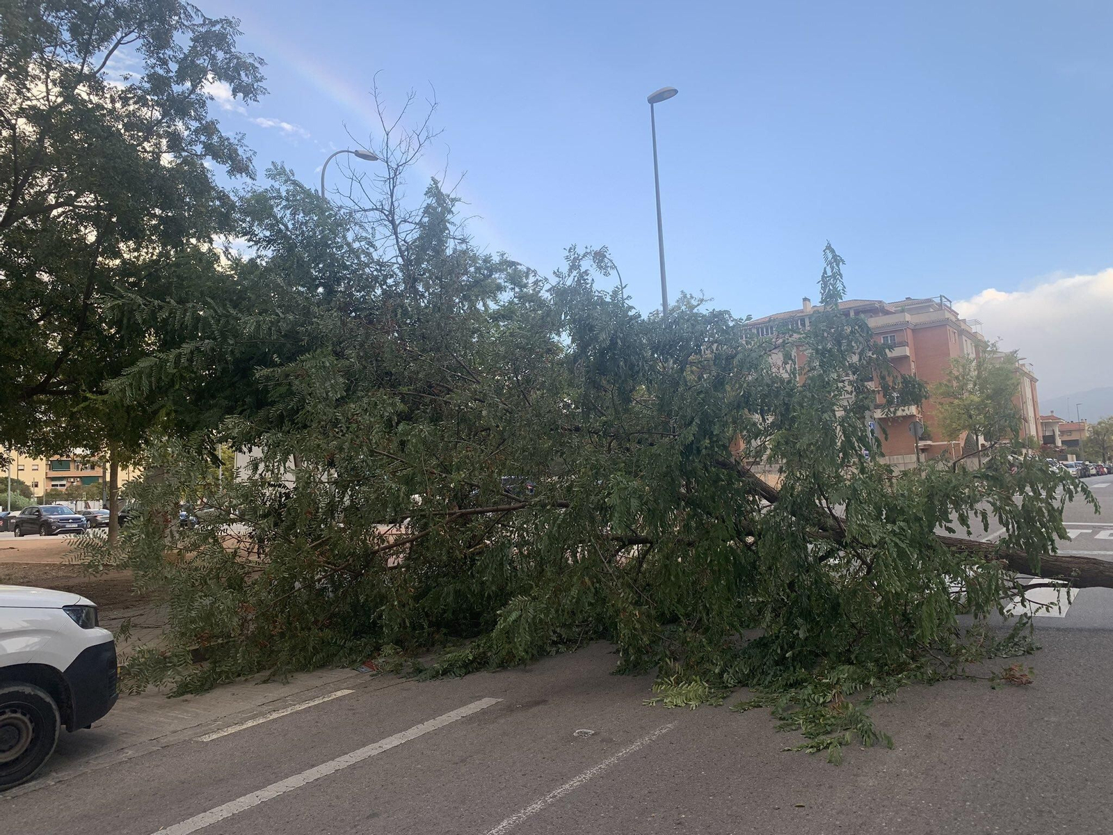 Fotos: así está siendo el fuerte viento de la borrasca Bernard en Granada