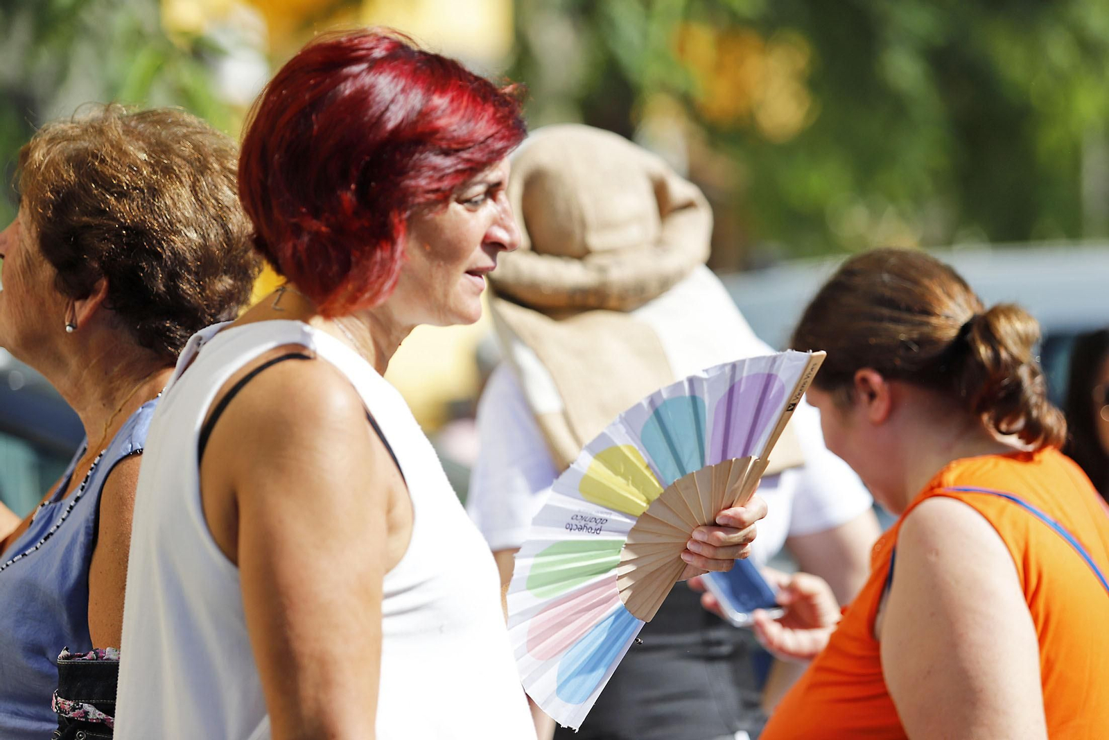 Imágenes de la procesión de San Francisco de Asís por las calles de Pérez Cubillas