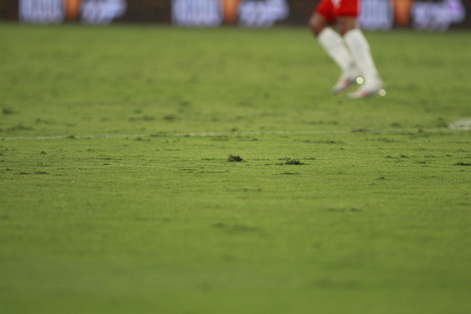 El partido U.D. Almería-Sporting de Gijón, en imágenes